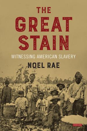 Cover of the book The Great Stain by Jim Nisbet