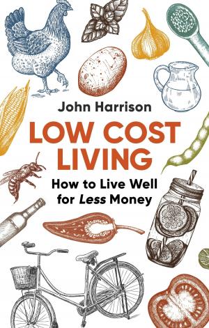 Cover of the book Low-Cost Living 2nd Edition by David Meltzer