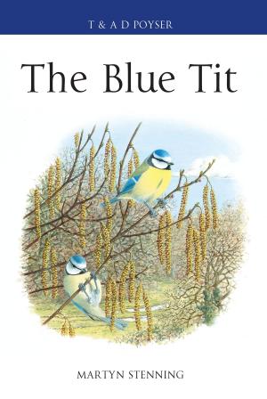 Cover of the book The Blue Tit by Lisa Klein