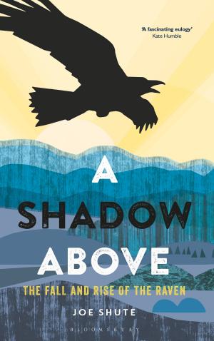 Cover of the book A Shadow Above by Peter Jackson