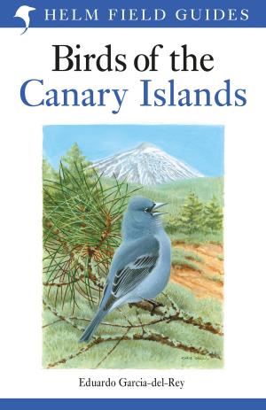 Book cover of Birds of the Canary Islands