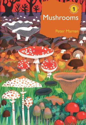 Cover of the book Mushrooms by Klaus Malling Olsen