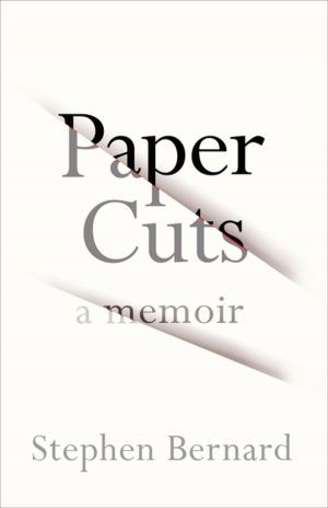 bigCover of the book Paper Cuts by 