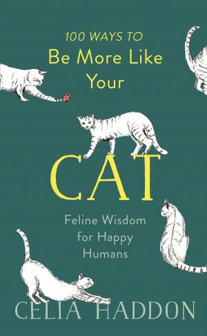Book cover of 100 Ways to Be More Like Your Cat