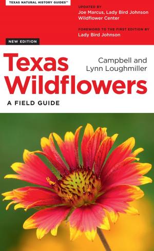 Book cover of Texas Wildflowers