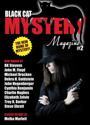 Book cover of Black Cat Mystery Magazine #2