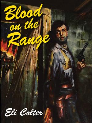 Cover of the book Blood on the Range by Edgar Wallace