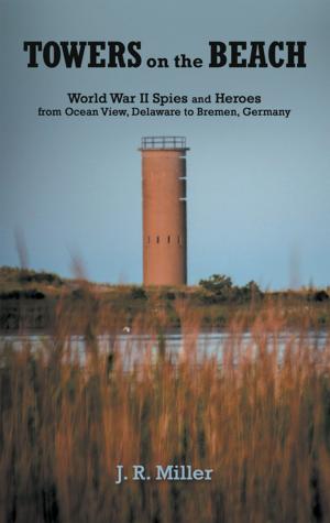 Cover of the book Towers on the Beach by Robin Colucci