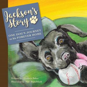 Cover of the book Jackson’S Story by Joe Gwerder