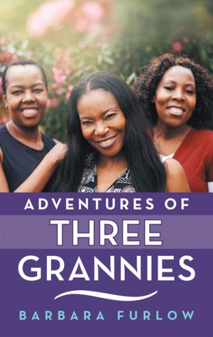 Cover of the book Adventures of Three Grannies by Joseph B. Walker, Jeff Bonano