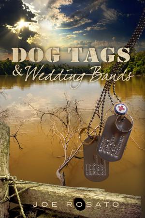 Cover of the book Dog Tags & Wedding Bands by Merrill O’Glaughlin
