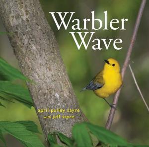 Cover of the book Warbler Wave by Cindy Jenson-Elliott
