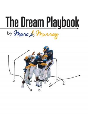Cover of the book The Dream Playbook by Costantinos Berhutesfa Costantinos