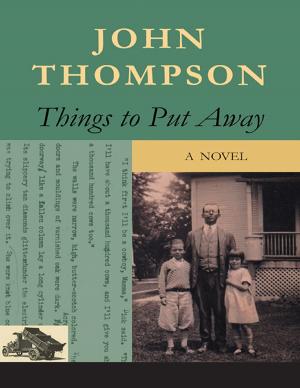 Cover of the book Things to Put Away by Randy M. Stratton