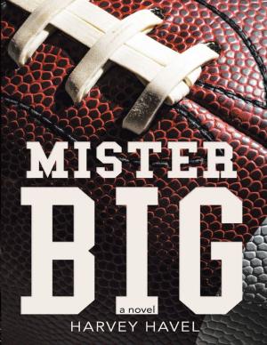 Cover of the book Mister Big: A Novel by A.W. Hammock