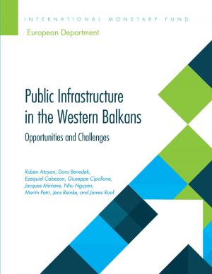 Cover of the book Public Infrastructure in the Western Balkans by Richard Holdren