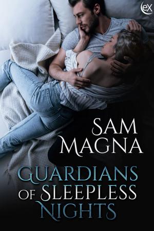 Cover of the book Guardians of Sleepless Nights by SA Welsh