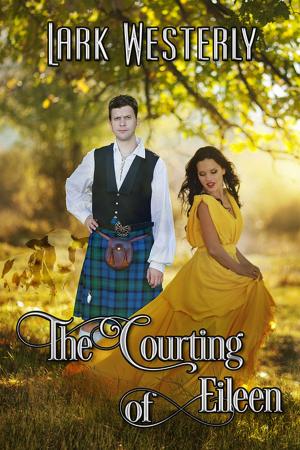 Cover of the book The Courting of Eileen by Patti Shenberger