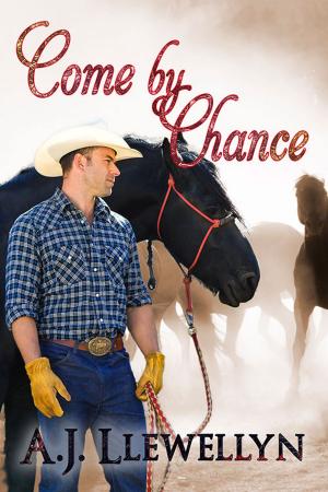 Cover of the book Come By Chance by Amy Romine
