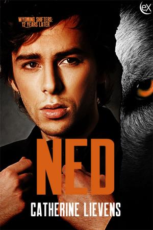 Cover of the book Ned by James Kostelniuk