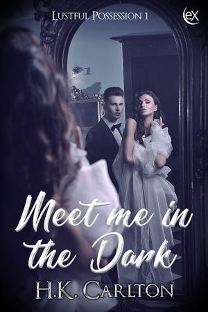 Cover of the book Meet Me in the Dark by Astrid Cooper