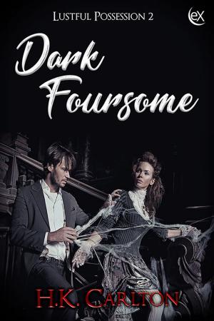 Cover of the book Dark Foursome by J.S. Frankel