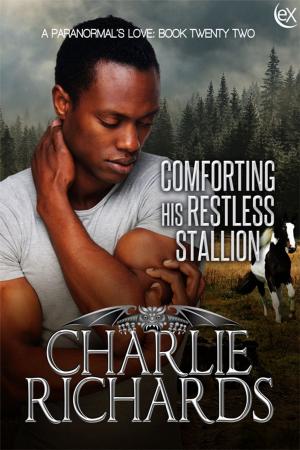 Cover of the book Comforting his Restless Stallion by Jon Bradbury