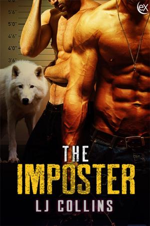 Cover of the book The Imposter by Mark Alders