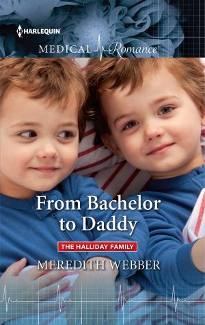 Cover of the book From Bachelor to Daddy by Shawna Delacorte