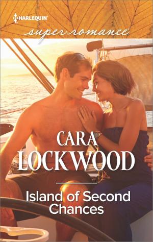 Book cover of Island of Second Chances