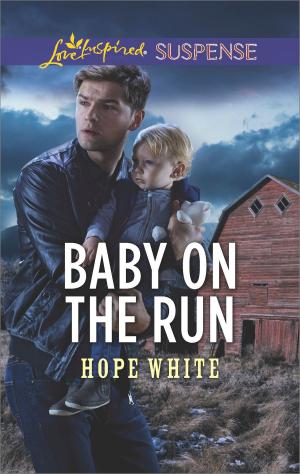 Book cover of Baby on the Run
