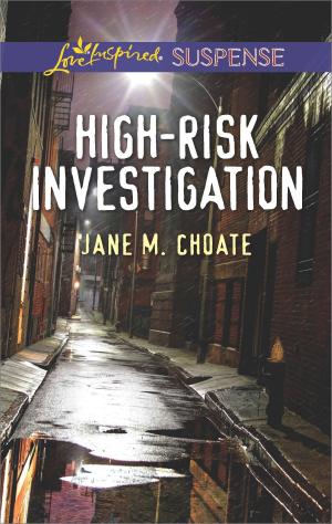 Cover of the book High-Risk Investigation by Michelle Willingham
