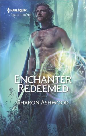 Cover of the book Enchanter Redeemed by Michael Lamarina