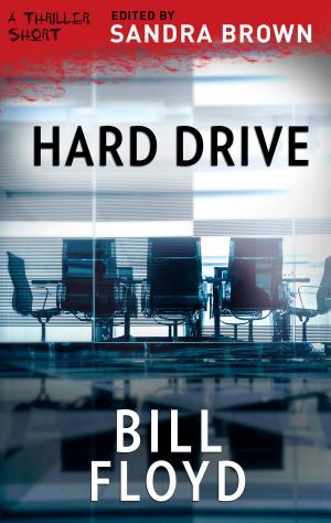 Cover of the book Hard Drive by Melissa Hill