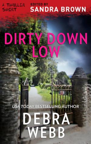Cover of the book Dirty Down Low by Noelle Salazar