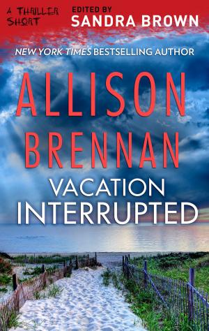 Cover of the book Vacation Interrupted by Susan Wiggs