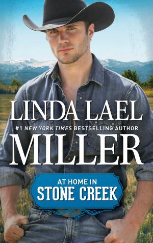 Cover of the book At Home in Stone Creek by Alison DeLaine