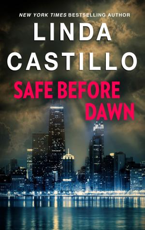 Cover of the book Safe Before Dawn by Mary Martinez