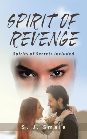 Cover of the book Spirit of Revenge by James Morris