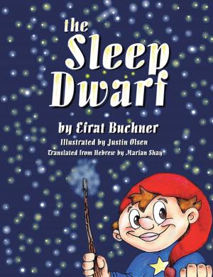 bigCover of the book The Sleep Dwarf by 
