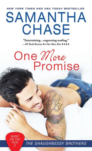 Cover of the book One More Promise by Domenico Schipani