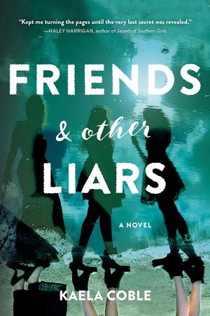 Cover of the book Friends and Other Liars by Carina Axelsson