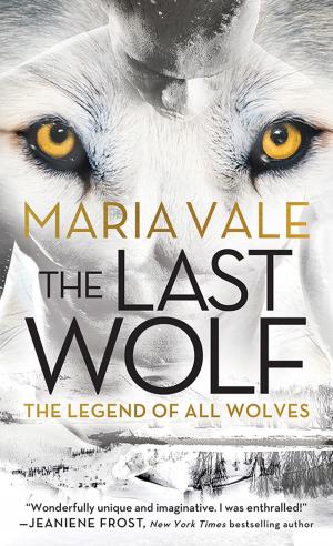Cover of the book The Last Wolf by Stephen Arseneault