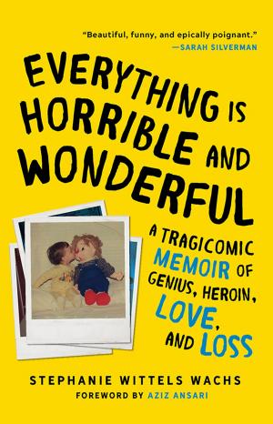 Cover of the book Everything Is Horrible and Wonderful by Liz Trenow