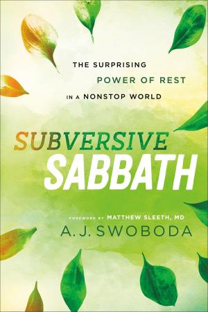 Cover of the book Subversive Sabbath by Jeff VanVonderen