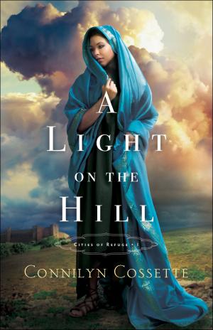 Cover of the book A Light on the Hill (Cities of Refuge Book #1) by Celeste Palermo