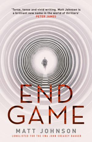Cover of the book End Game by Matt Wesolowski