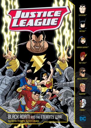 Cover of the book Black Adam and the Eternity War by Maddox, Jake