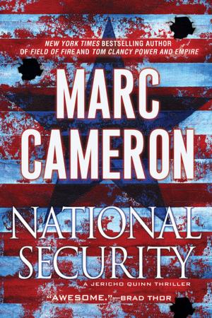 Cover of the book National Security by Barbara Ross