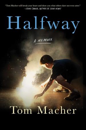 Cover of the book Halfway by Maya Lang